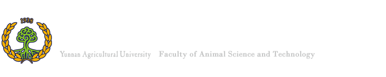 KY开元集团官网入口